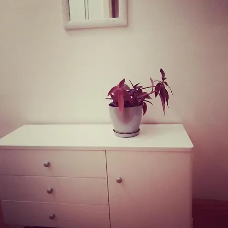 Apartman Central *